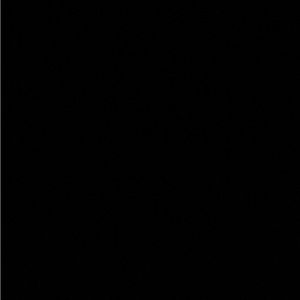 Meet your Posher, Raygan